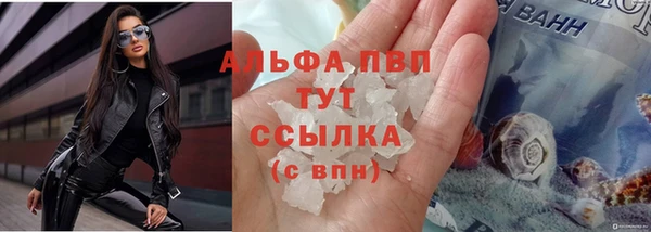 эйфоретик Сафоново