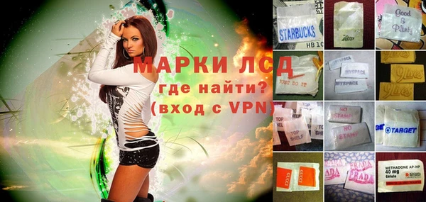 гидропоника Сатка