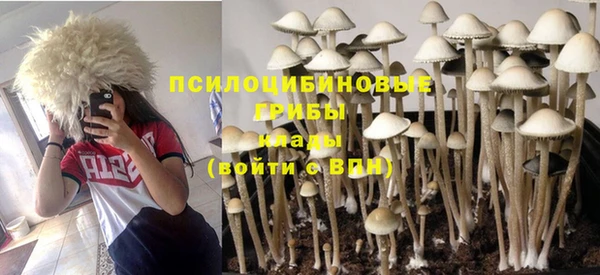 гидропоника Семикаракорск