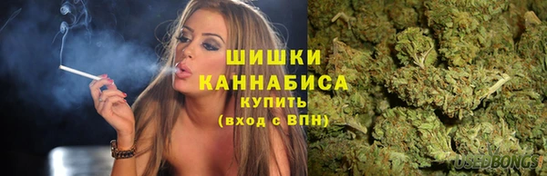 амф Саяногорск