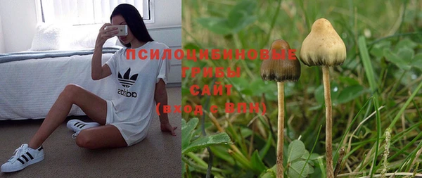 скорость Семёнов