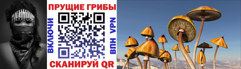 Галлюциногенные грибы MAGIC MUSHROOMS  цены   гидра ONION  Магнитогорск 